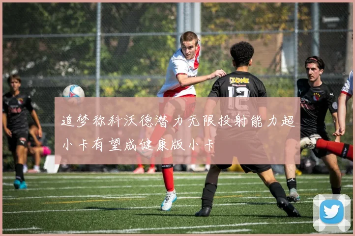 追梦称科沃德潜力无限投射能力超小卡有望成健康版小卡